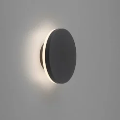 Applique murale d'extérieur Paul Neuhaus PUNTUA LED Anthracite, 1 lumière