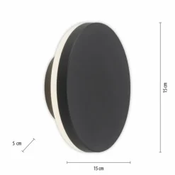 Applique murale d'extérieur Paul Neuhaus PUNTUA LED Anthracite, 1 lumière