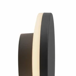 Applique murale d'extérieur Paul Neuhaus PUNTUA LED Anthracite, 1 lumière