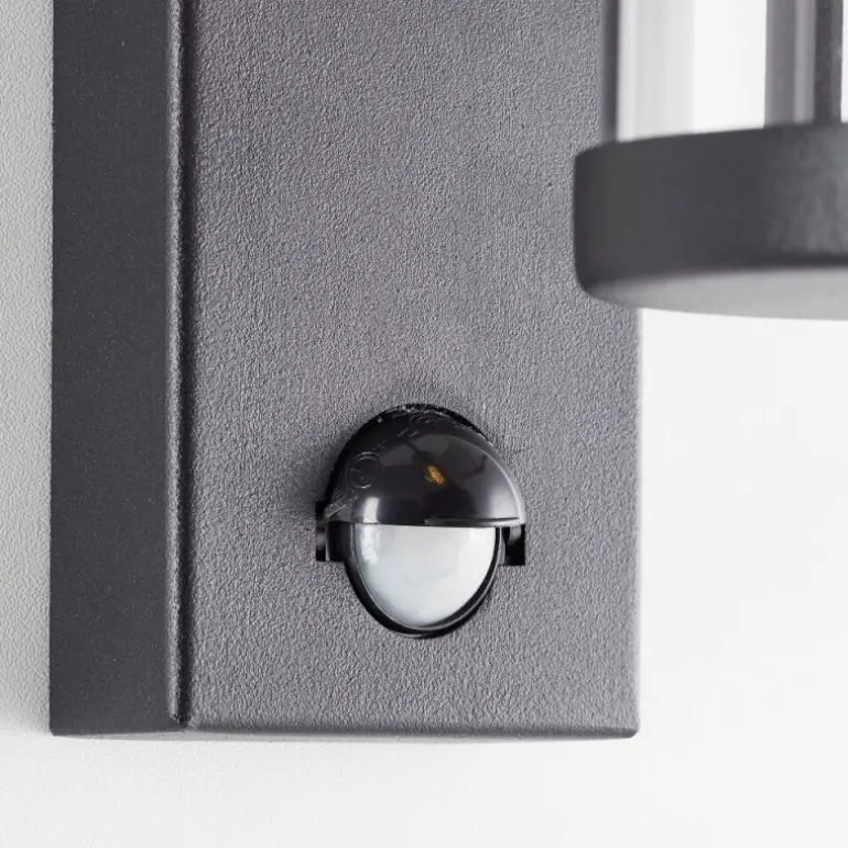 Applique murale d'extérieur Brilliant Sidney Noir, 1 lumière