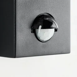 Applique murale d'extérieur Brilliant Bari Noir, 1 lumière