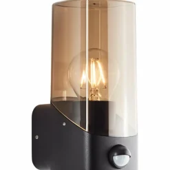 Applique murale d'extérieur Brilliant Minou Noir, 1 lumière