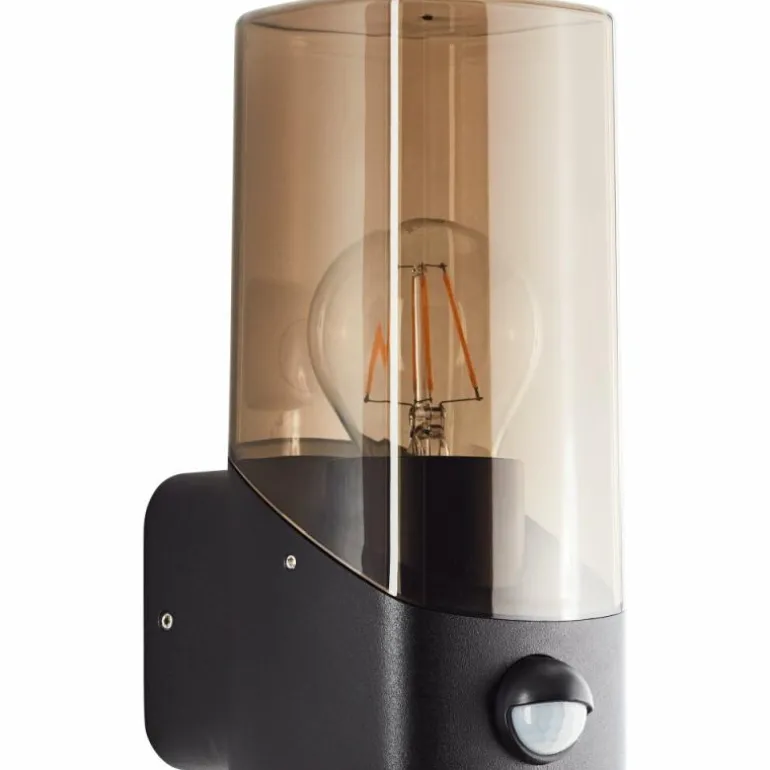 Applique murale d'extérieur Brilliant Minou Noir, 1 lumière