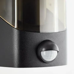 Applique murale d'extérieur Brilliant Minou Noir, 1 lumière