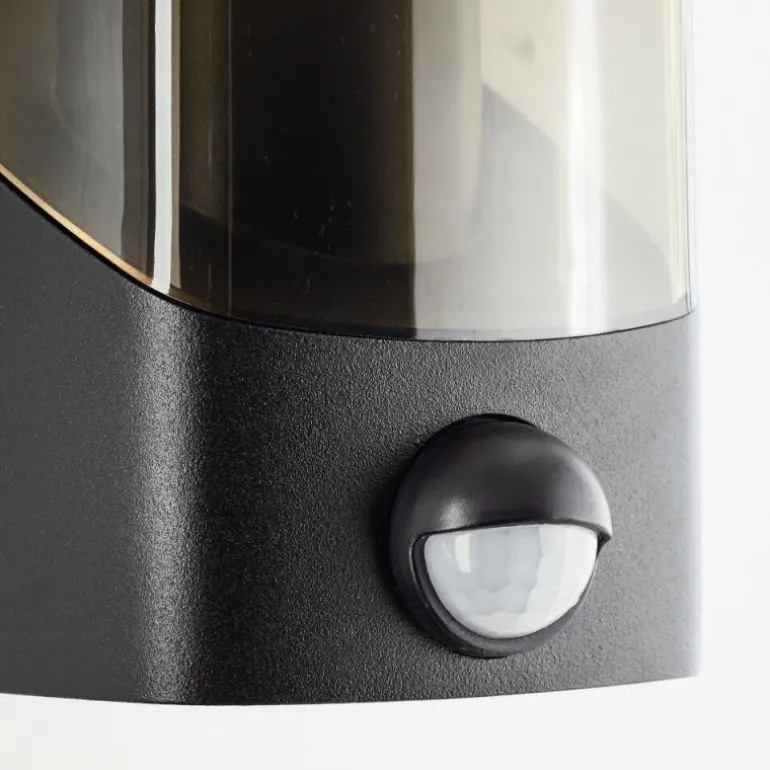 Applique murale d'extérieur Brilliant Minou Noir, 1 lumière