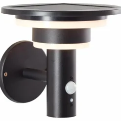 Applique murale d'extérieur Brilliant Garvina LED Noir, 1 lumière, Détecteur de mouvement