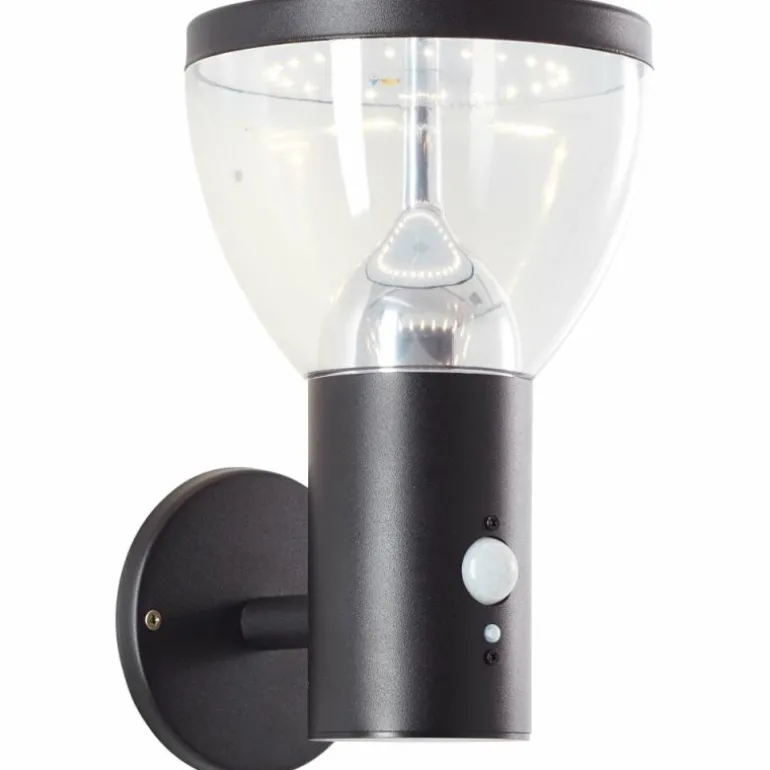 Applique murale d'extérieur Brilliant Tulip LED Noir, 1 lumière, Détecteur de mouvement