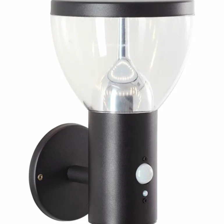 Applique murale d'extérieur Brilliant Tulip LED Noir, 1 lumière, Détecteur de mouvement