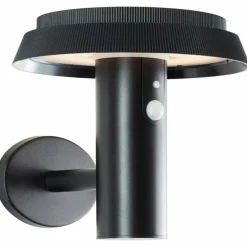 Applique murale d'extérieur Brilliant Alvero LED Noir, 1 lumière, Détecteur de mouvement