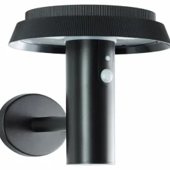 Applique murale d'extérieur Brilliant Alvero LED Noir, 1 lumière, Détecteur de mouvement