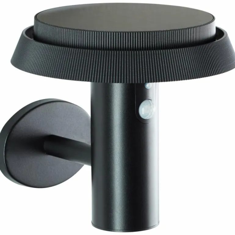 Applique murale d'extérieur Brilliant Alvero LED Noir, 1 lumière, Détecteur de mouvement