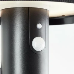 Applique murale d'extérieur Brilliant Alvero LED Noir, 1 lumière, Détecteur de mouvement