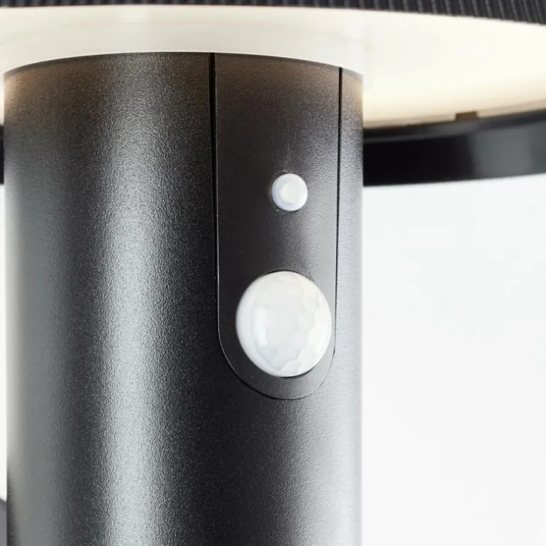 Applique murale d'extérieur Brilliant Alvero LED Noir, 1 lumière, Détecteur de mouvement