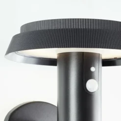 Applique murale d'extérieur Brilliant Alvero LED Noir, 1 lumière, Détecteur de mouvement