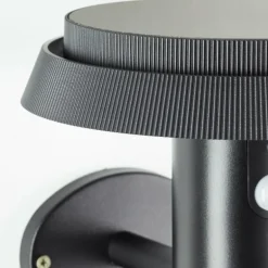 Applique murale d'extérieur Brilliant Alvero LED Noir, 1 lumière, Détecteur de mouvement