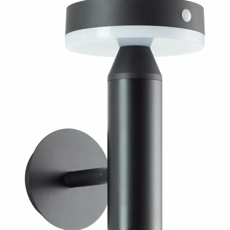Applique murale d'extérieur Brilliant Magua LED Noir, 1 lumière