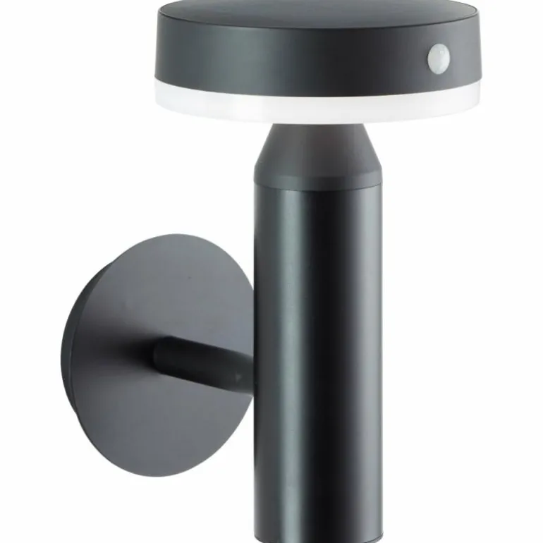 Applique murale d'extérieur Brilliant Magua LED Noir, 1 lumière