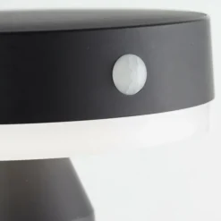 Applique murale d'extérieur Brilliant Magua LED Noir, 1 lumière