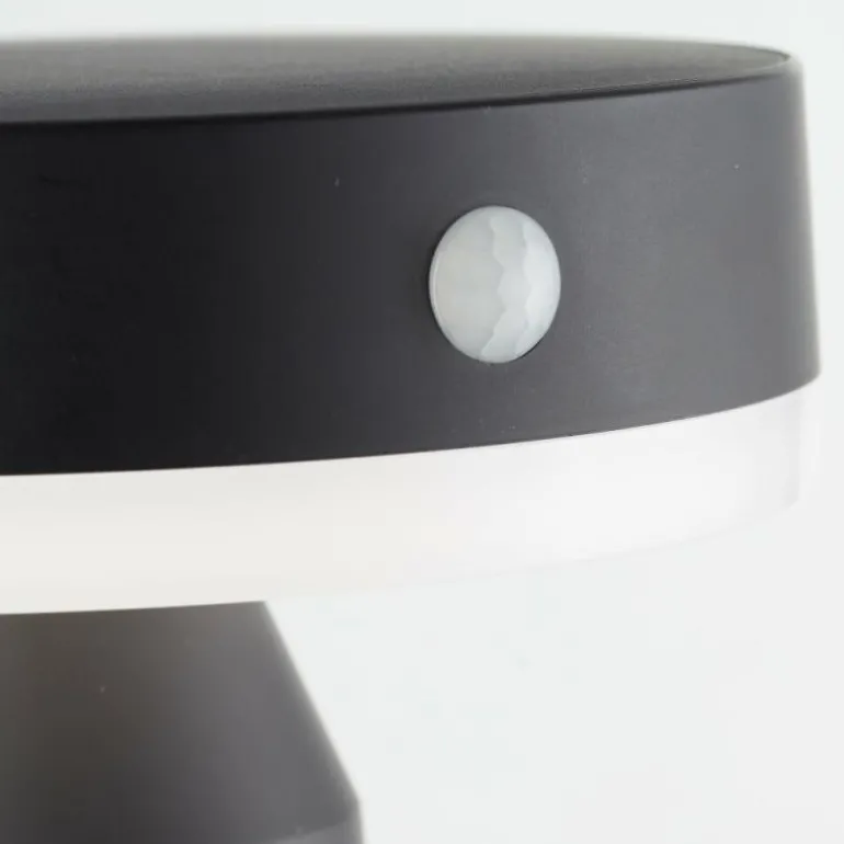 Applique murale d'extérieur Brilliant Magua LED Noir, 1 lumière