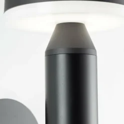 Applique murale d'extérieur Brilliant Magua LED Noir, 1 lumière