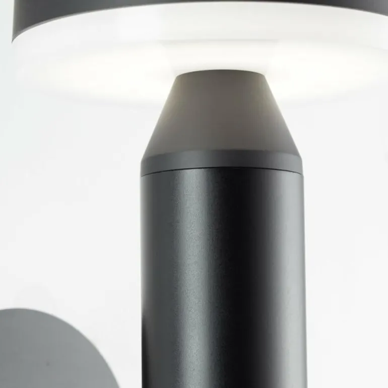 Applique murale d'extérieur Brilliant Magua LED Noir, 1 lumière