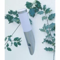 Applique murale d'extérieur Brilliant Chorus Acier inoxydable, 1 lumière, Détecteur de mouvement