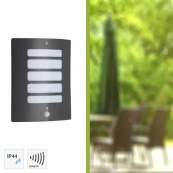 Applique murale d'extérieur Brilliant Todd Anthracite, 1 lumière, Détecteur de mouvement