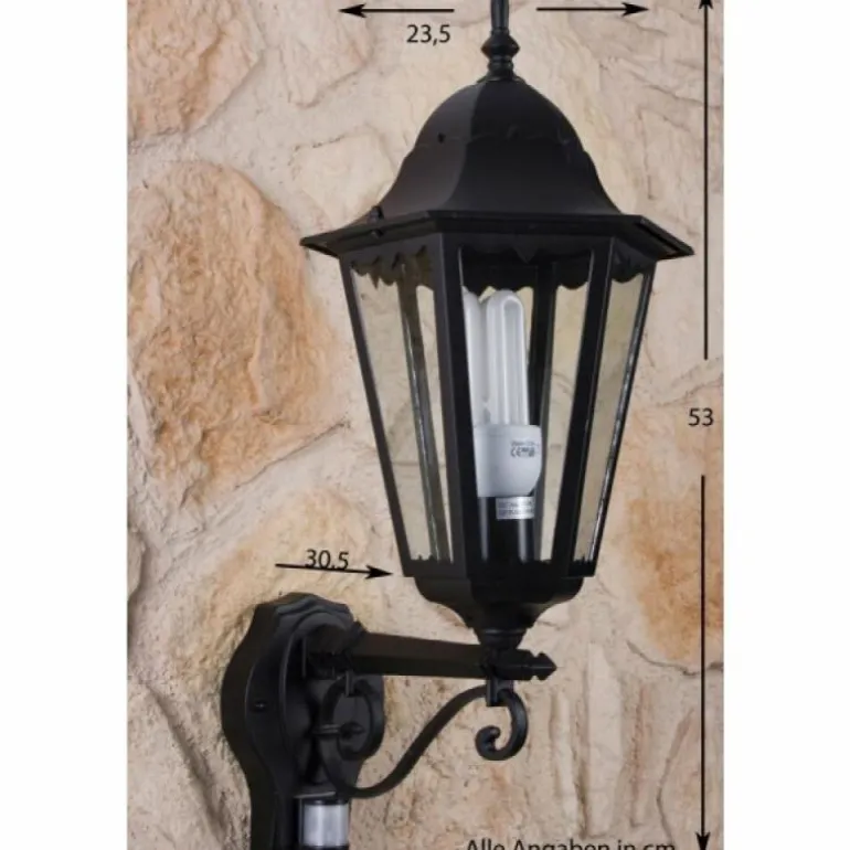 Applique murale d'extérieur LUTEC BRISTOL Noir, Transparent, 1 lumière, Détecteur de mouvement