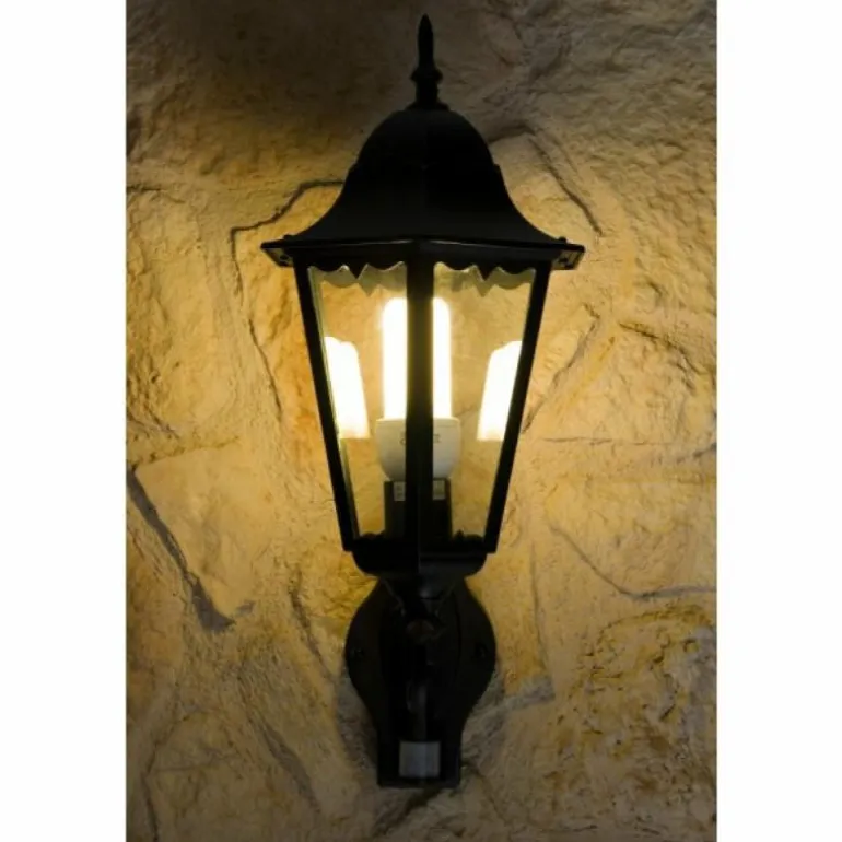 Applique murale d'extérieur LUTEC BRISTOL Noir, Transparent, 1 lumière, Détecteur de mouvement