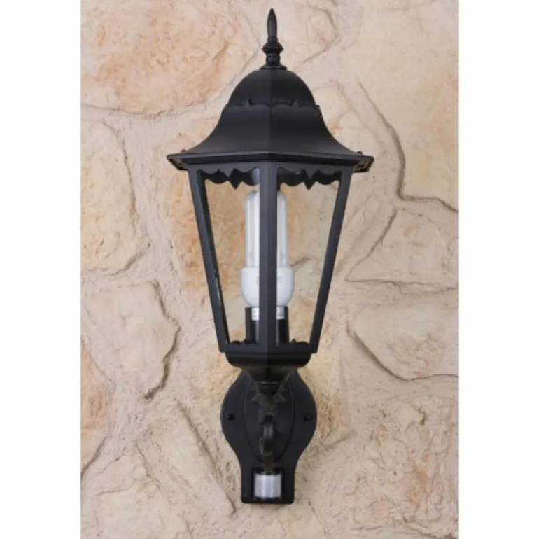 Applique murale d'extérieur LUTEC BRISTOL Noir, Transparent, 1 lumière, Détecteur de mouvement