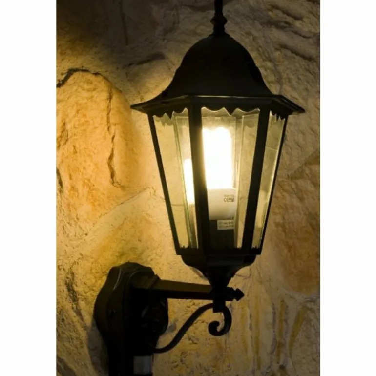 Applique murale d'extérieur LUTEC BRISTOL Noir, Transparent, 1 lumière, Détecteur de mouvement