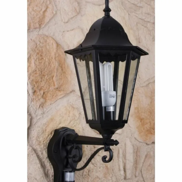 Applique murale d'extérieur LUTEC BRISTOL Noir, Transparent, 1 lumière, Détecteur de mouvement