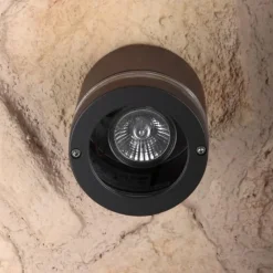 Applique murale d'extérieur LUTEC FOCUS Anthracite, 1 lumière