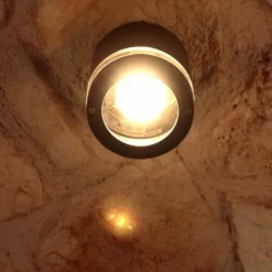 Applique murale d'extérieur LUTEC FOCUS Anthracite, 1 lumière