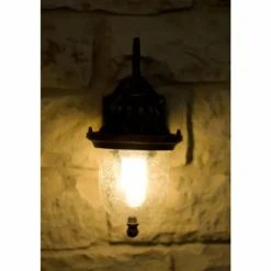 Applique murale d'extérieur Rabalux Sydney Transparent