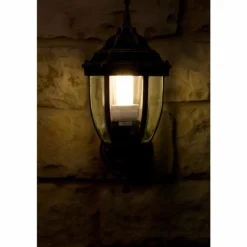 Applique murale d'extérieur Rabalux Nizza Or, Laiton, Transparent