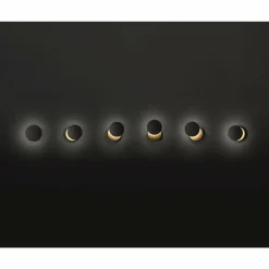 Applique murale Fabas Luce Ara LED Or, Noir, 1 lumière