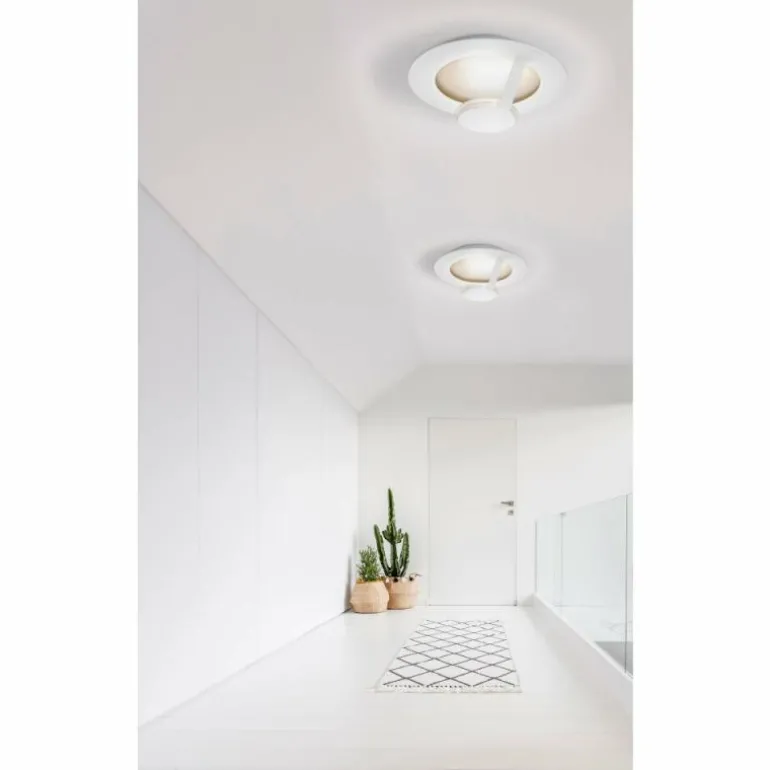 Applique murale Grossmann FLAT LED Brun, Or, Blanc, 1 lumière