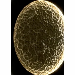 Applique murale Holländer LUNA LED Brun, Or, Noir, 2 lumières