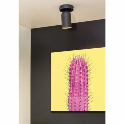 Applique murale Lucide PUNCH Noir, 1 lumière