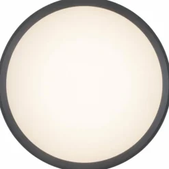 Applique murale Lutec Rola LED Anthracite, 1 lumière