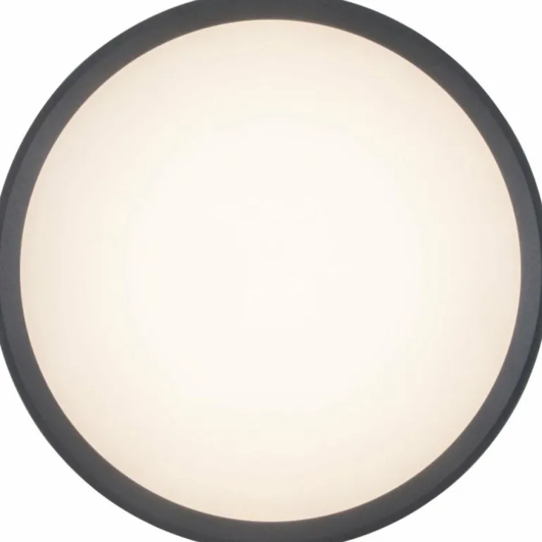 Applique murale Lutec Rola LED Anthracite, 1 lumière