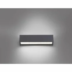 Applique murale Paul Neuhaus ROBERT LED Anthracite, 1 lumière