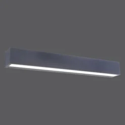 Applique murale Paul Neuhaus ROBERT LED Anthracite, 1 lumière