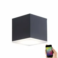 Applique murale Paul Neuhaus Q-AMIN LED Anthracite, 1 lumière, Télécommandes, Changeur de couleurs