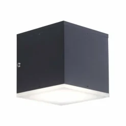 Applique murale Paul Neuhaus Q-AMIN LED Anthracite, 1 lumière, Télécommandes, Changeur de couleurs