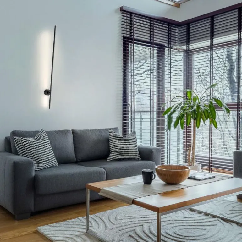 Applique murale Paul Neuhaus PURE-GRAFO LED Noir, 1 lumière