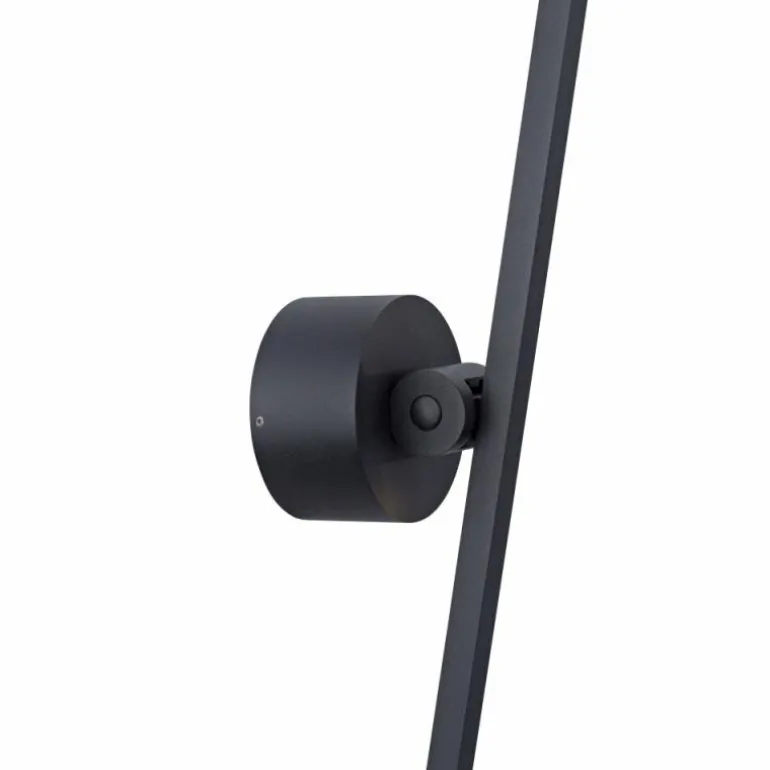 Applique murale Paul Neuhaus PURE-GRAFO LED Noir, 1 lumière