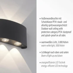 Applique murale Paul Neuhaus CARLO LED Anthracite, 4 lumières