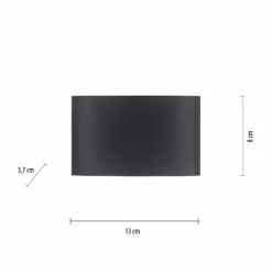 Applique murale Paul Neuhaus CARLO LED Anthracite, 4 lumières